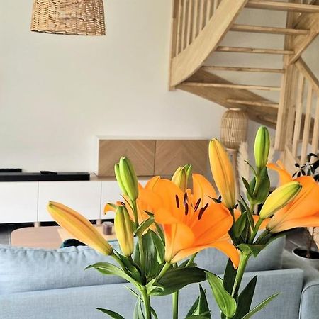 Maison Moderne A Баден Екстер'єр фото